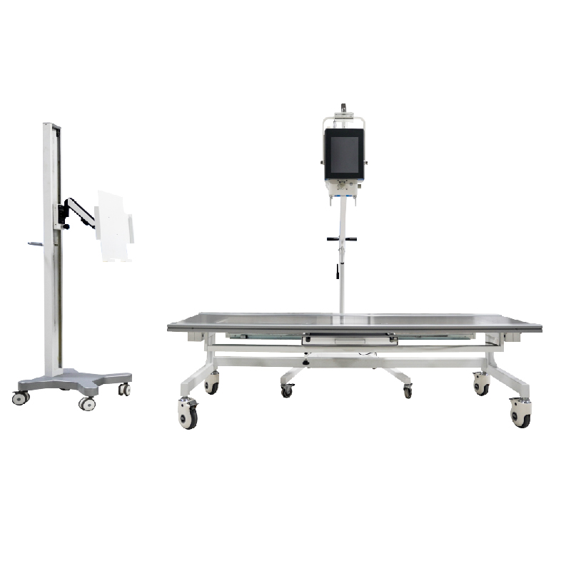 Sistema de radiografia digital portátil