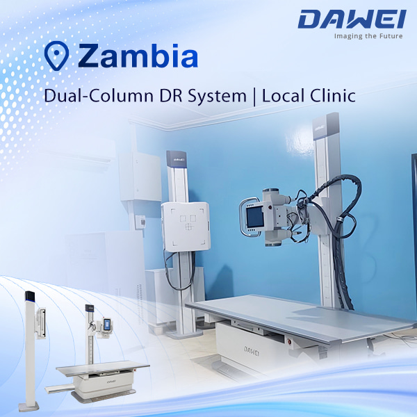 Cl&iacute;nica local do sistema DR de coluna dupla da Z&acirc;mbia