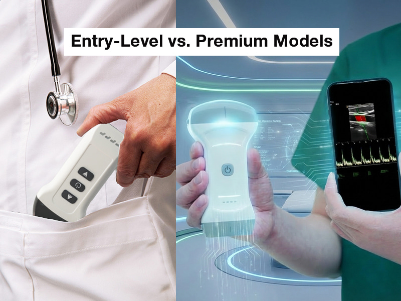 Como os modelos b&aacute;sicos e premium s&atilde;o categorizados.jpg